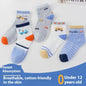 Mid-calf All-match Socks For Boys And Girls