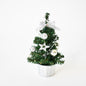 PVC Mini Christmas Tree LED Lights Decoration Desktop Ornaments